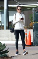 ALESSANDRA AMBROASIO at Sunlife Organics in Malibu 01/20/2019