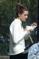 ALESSANDRA AMBROASIO at Sunlife Organics in Malibu 01/20/2019