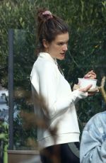 ALESSANDRA AMBROASIO at Sunlife Organics in Malibu 01/20/2019