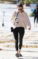 ALESSANDRA AMBROSIO Out and About in Santa Monica 01/21/2019