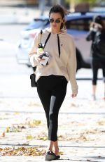 ALESSANDRA AMBROSIO Out and About in Santa Monica 01/21/2019