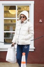 ALESSANDRA AMBROSIO Out Shopping in Los Angeles 01/16/2019