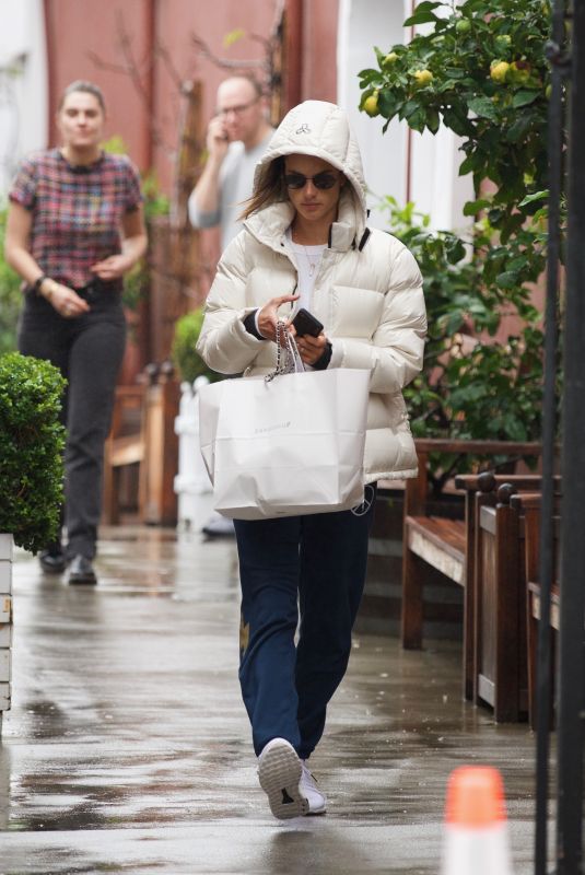 ALESSANDRA AMBROSIO Out Shopping in Los Angeles 01/16/2019