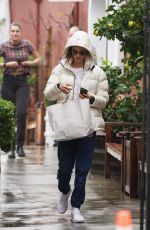 ALESSANDRA AMBROSIO Out Shopping in Los Angeles 01/16/2019