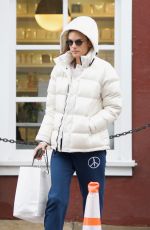 ALESSANDRA AMBROSIO Out Shopping in Los Angeles 01/16/2019