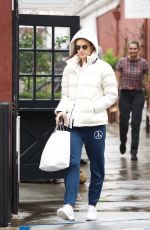 ALESSANDRA AMBROSIO Out Shopping in Los Angeles 01/16/2019