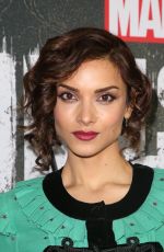 AMBER ROSE REVAH at The Punisher, Season 2 Premiere in Los Angeles 01/14/2019