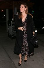 AMY ADAMS and Darren Le Gallo at Craig