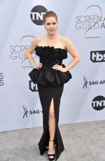 AMY ADAMS at Screen Actors Guild Awards 2019 in Los Angeles 01/27/2019