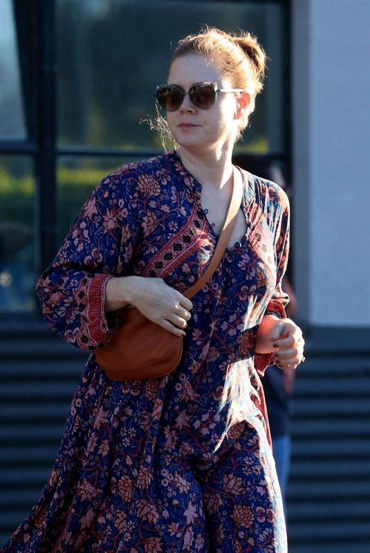 AMY ADAMS Leaves a Dress Fitting in Beverly Hills 01/25/2019