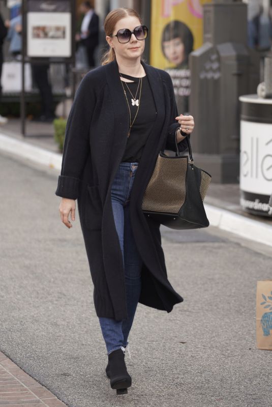 AMY ADAMS Out and About in Los Angeles 01/18/2019
