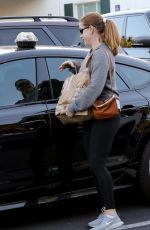 AMY ADAMS Out Shopping in Beverly Hills 01/03/2019