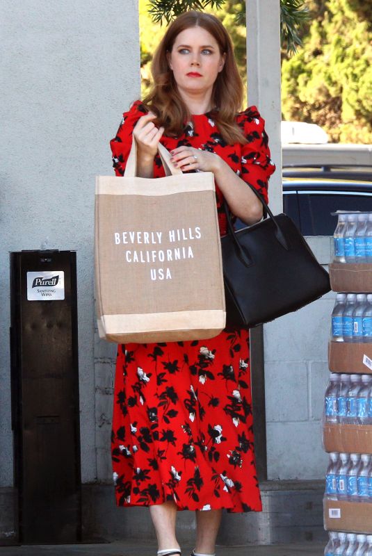 AMY ADAMS Shopping for Sushi and Veggies in Beverly Hills 01/23/2019