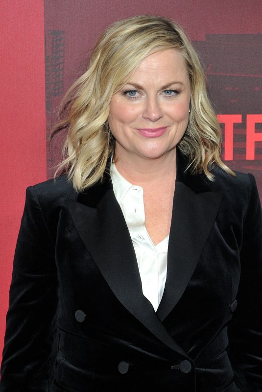 AMY POEHLER at Russian Doll Premiere in New York 01/23/2019