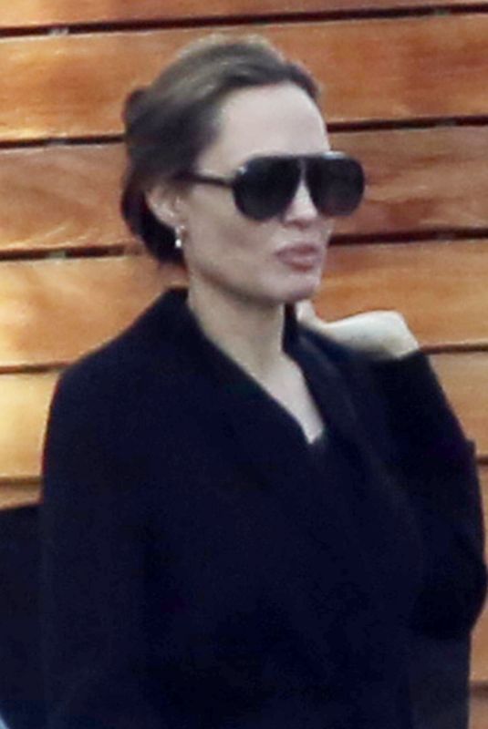 ANGELINA JOLIE Out and About in West Hollywood 01/08/2019