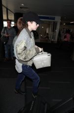 ANNA KENDRICK at LAX Airport in Los Angeles 01/10/2019