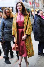 ANNE HATHAWAY Out and About in New York 01/22/2019