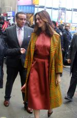 ANNE HATHAWAY Out and About in New York 01/22/2019