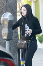 ARIEL WINTER Out and About in Studio City 01/04/2019
