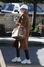 ASHLEY TISDALE and Christopher French Shopping in Studio City 01/06/2019