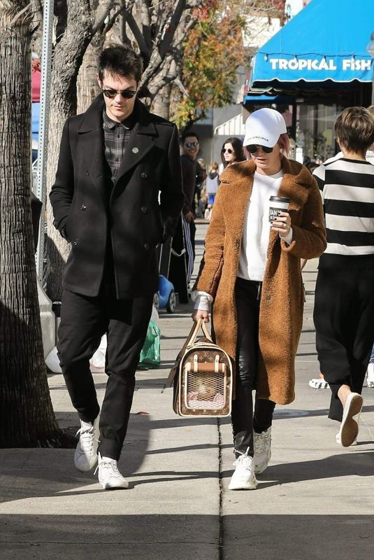 ASHLEY TISDALE and Christopher French Shopping in Studio City 01/06/2019