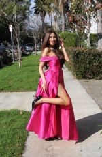 BLANCA BLANCO Heading to 2019 Golden Globe Awards in Beverly Hills 01/06/2019