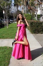 BLANCA BLANCO Heading to 2019 Golden Globe Awards in Beverly Hills 01/06/2019