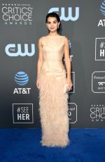 BRIANNA HILDEBRAND at 2019 Citics’ Choice Awards in Santa Monica 01/13/2019