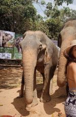 CAMILA MORRONE in Bikini at an Elephant Sanctuary in Thailand 01/02/2019