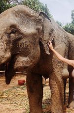 CAMILA MORRONE in Bikini at an Elephant Sanctuary in Thailand 01/02/2019