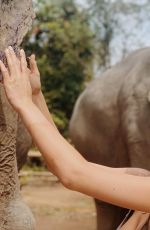 CAMILA MORRONE in Bikini at an Elephant Sanctuary in Thailand 01/02/2019