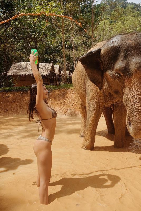 CAMILA MORRONE in Bikini at an Elephant Sanctuary in Thailand 01/02/2019