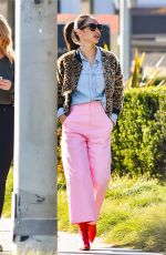 CARA SANTANA Out and About in Los Angeles 01/04/2019