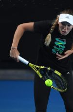 CAROLINE WOZNIACKI at 2019 Australian Open Practice Session at Melbourne Park 01/13/2019