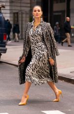 CATRIONA GRAY Out and About in New York 01/07/2019