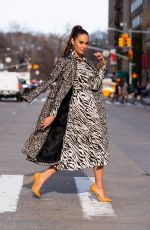 CATRIONA GRAY Out and About in New York 01/07/2019