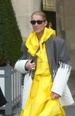 CELINE DION Out and About in Paris 01/29/2019
