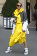 CELINE DION Out and About in Paris 01/29/2019