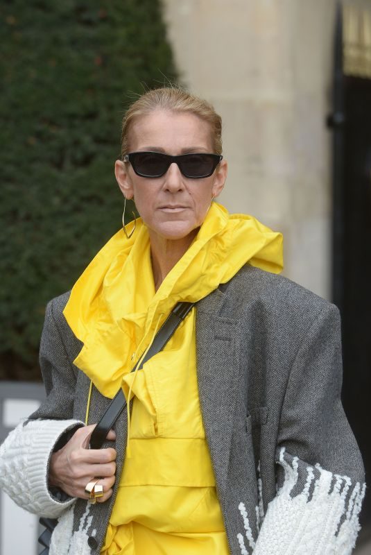 CELINE DION Out and About in Paris 01/29/2019