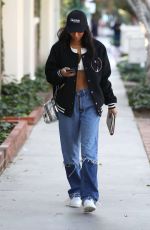 CHANTEL JEFFRIES Out and About in West Hollywood 01/10/2019