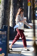 DAKOTA JOHNSON at a Nail Salon in Los Angeles 01/19/2019