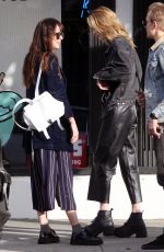 DAKOTA JOHNSON Out Shopping in Hollywood 01/29/2019
