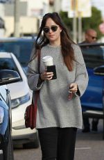 DAKOTA JOHNSON Out Shopping in West Hollywood 01/06/2019