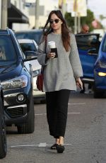 DAKOTA JOHNSON Out Shopping in West Hollywood 01/06/2019