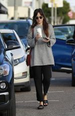 DAKOTA JOHNSON Out Shopping in West Hollywood 01/06/2019