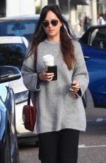 DAKOTA JOHNSON Out Shopping in West Hollywood 01/06/2019