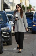 DAKOTA JOHNSON Out Shopping in West Hollywood 01/06/2019