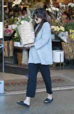 DAKOTA JOHNSON Out Shopping in West Hollywood 01/06/2019