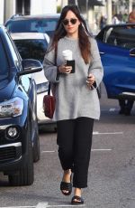 DAKOTA JOHNSON Out Shopping in West Hollywood 01/06/2019