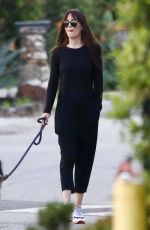 DAKOTA JOHNSON Out with Her Dog in Malibu 01/27/2019